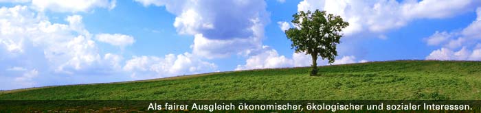 Umweltstiftung